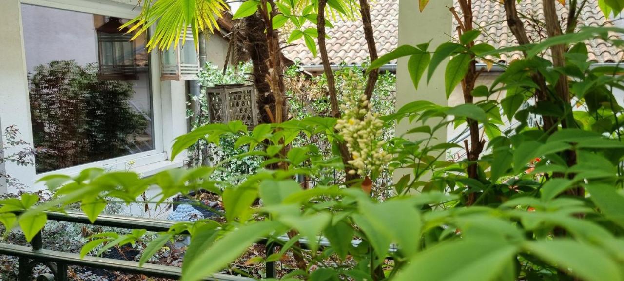 Logis Hotel Schaeffer- Restaurant Le Saint Georges Serrières-en-Chautagne エクステリア 写真