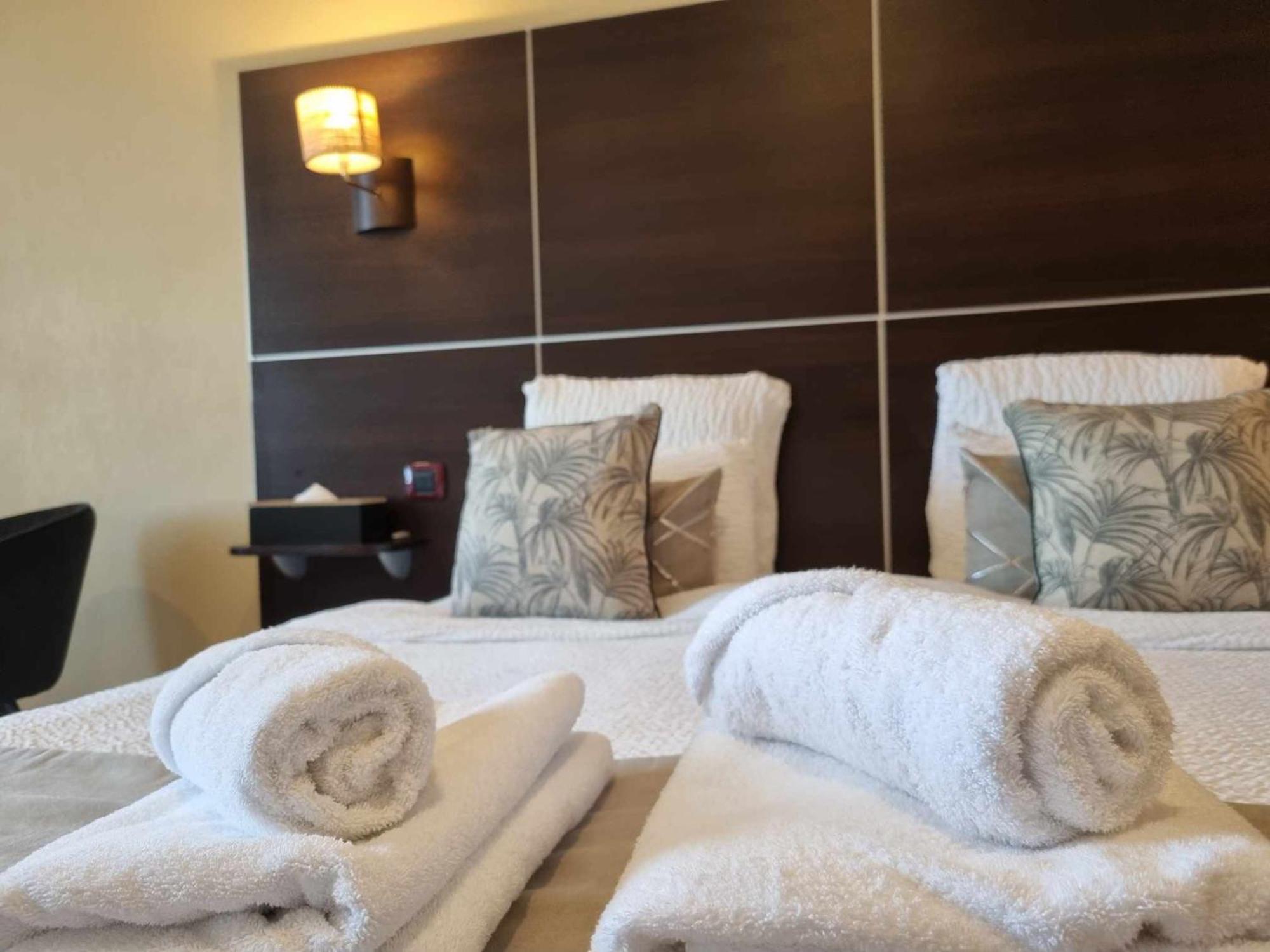 Logis Hotel Schaeffer- Restaurant Le Saint Georges Serrières-en-Chautagne エクステリア 写真