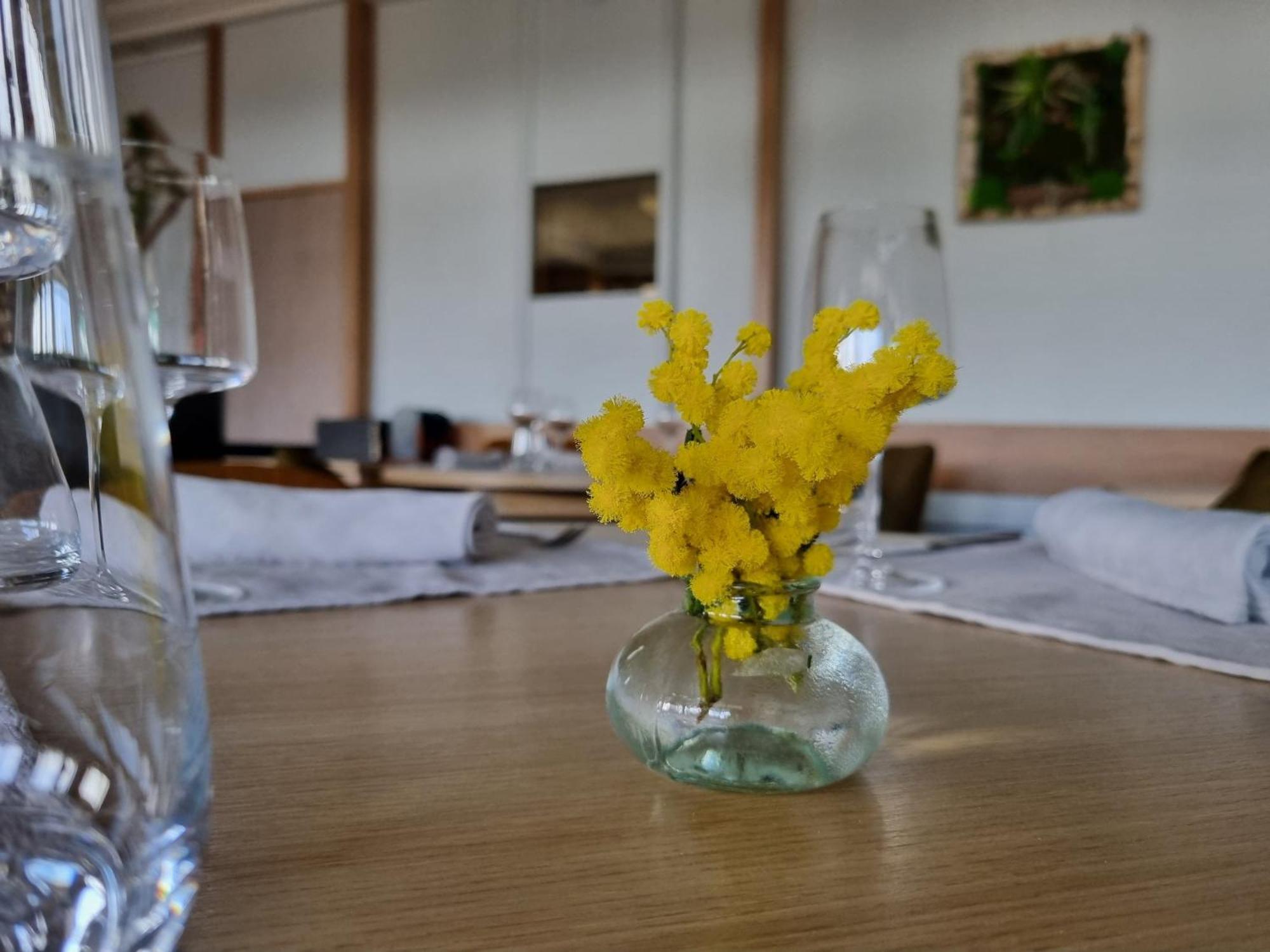 Logis Hotel Schaeffer- Restaurant Le Saint Georges Serrières-en-Chautagne エクステリア 写真